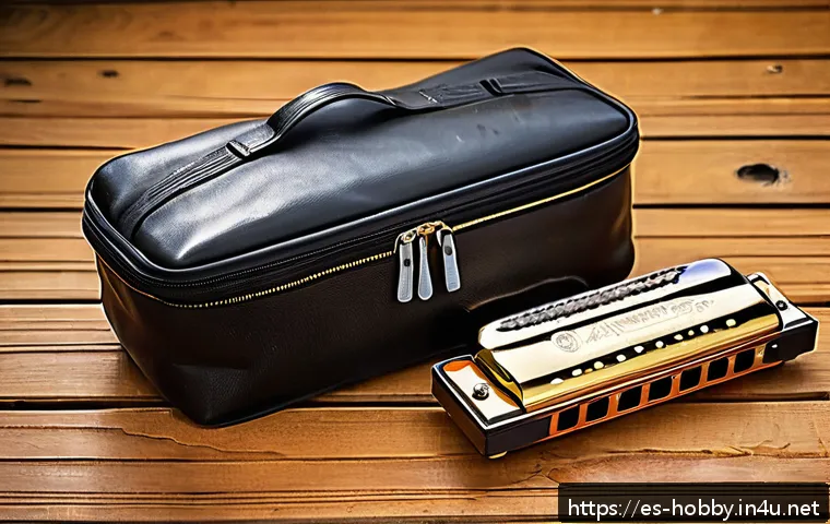 소형 악기 추천 관련 이미지 2